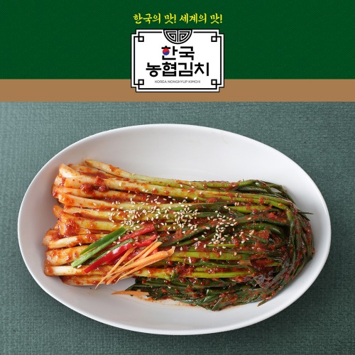 한국농협김치 파김치 1kg 국산