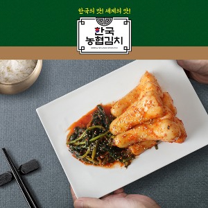 한국농협김치 총각김치 5kg 국산