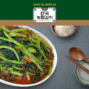 한국농협김치 열무김치 3kg 국산