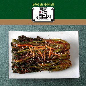 한국농협김치 갓김치 3kg 국산